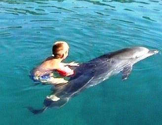 Дельфин спасает человека